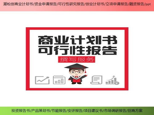 大同市合作股权合并项目可行性研究报告基本要求