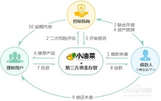 小油菜 理财产品如何选择适合自己的投资项目