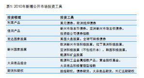 中投公司2010年年度报告