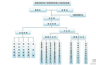 青海省国有资产投资管理组织机构图